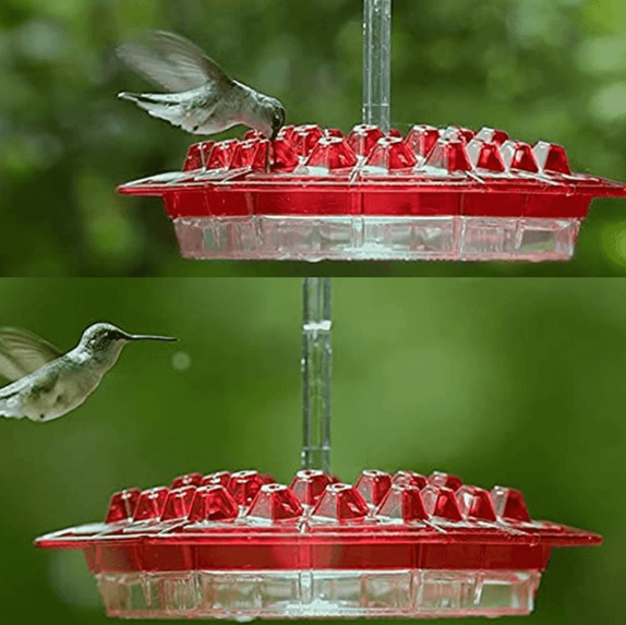RoyaleGlow Ant Proof Hummingbird Feeder Outdoor Hanging Perch