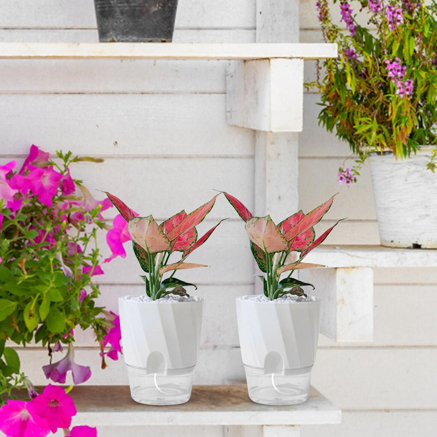 Luxora Self Watering Planter for Easy Plant Care