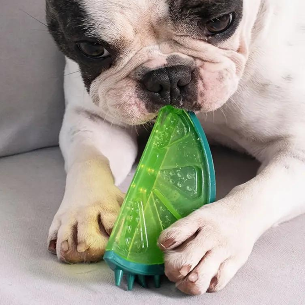 Royaleva Cooling Freezable Summer Pet Dog Teething Chew Toy