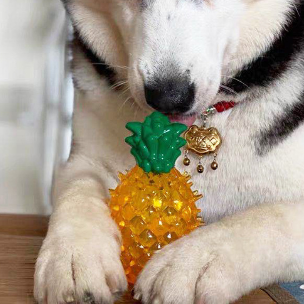 Royaleva Cooling Freezable Summer Pet Dog Teething Chew Toy
