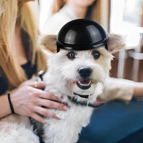 RoyaleGlow Dog Motorcycle Helmet And Goggles For Pets