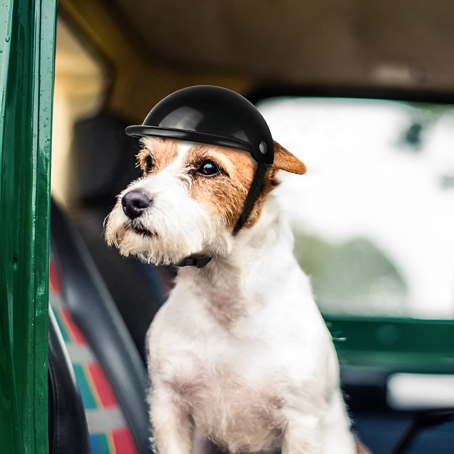 RoyaleGlow Dog Motorcycle Helmet And Goggles For Pets