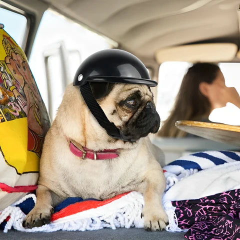 RoyaleGlow Dog Motorcycle Helmet And Goggles For Pets