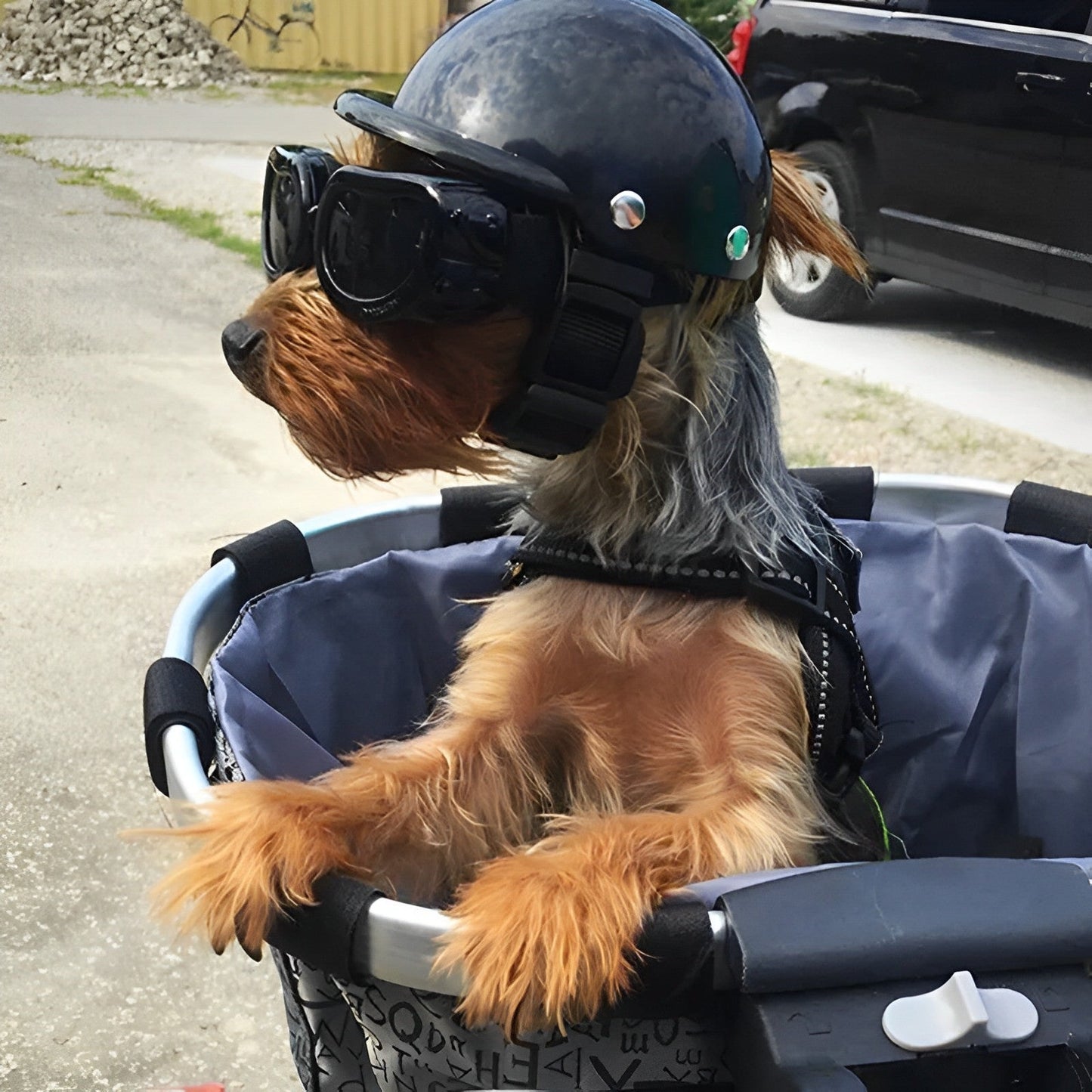RoyaleGlow Dog Motorcycle Helmet And Goggles For Pets