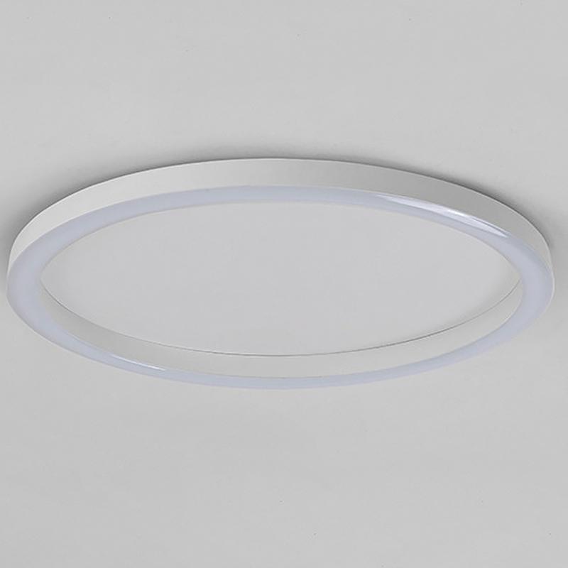 16'' Modern Simple Circle Flush Mount LED Lights Dimmable Ceiling Lights with Remote 8