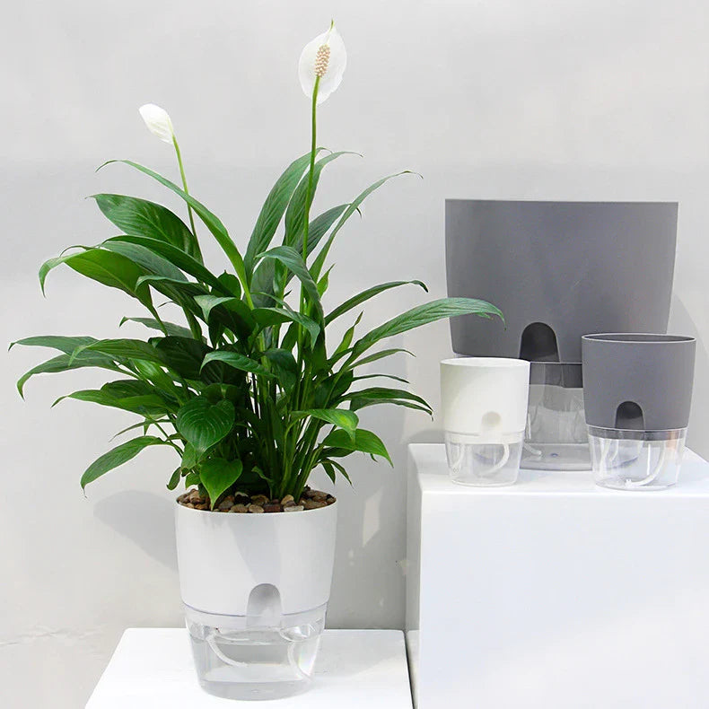Modern self-watering planter made of durable PP and PET materials with built-in reservoir, shown in sleek neutral tones; available in small and large sizes, ideal for indoor home or office use to keep plants hydrated and healthy with minimal effort.