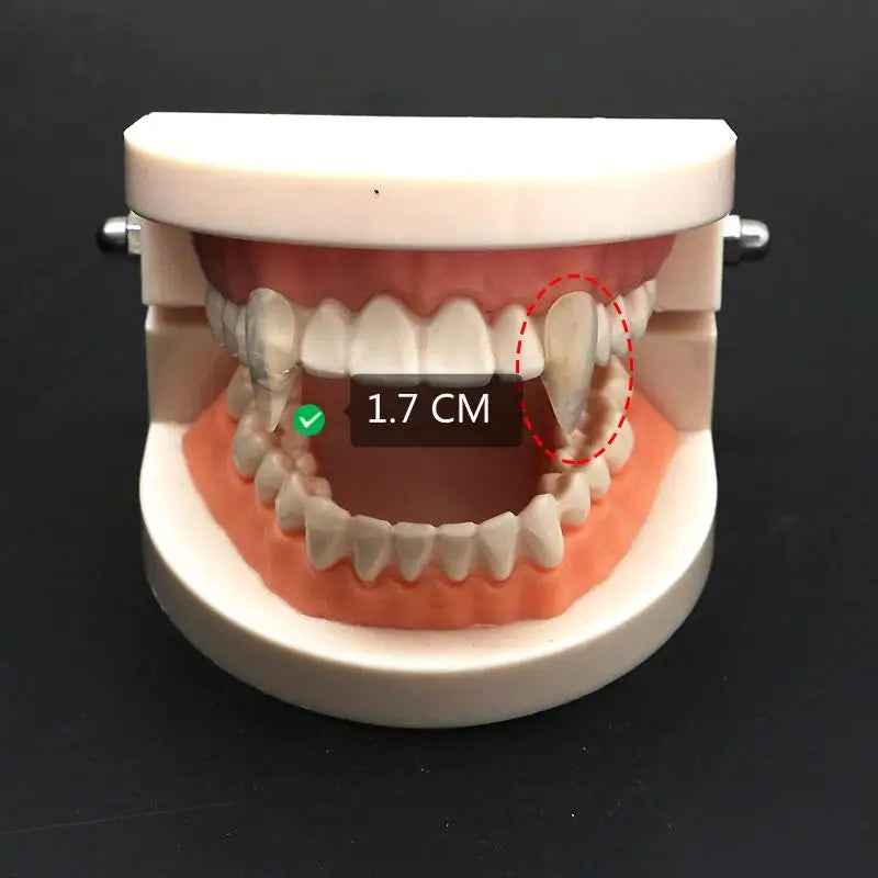 1 Pair Vampire Teeth Fangs Dentures Props Halloween Costume Props False Teeth Solid Glue Denture Adhesive Halloween Party Decor 17