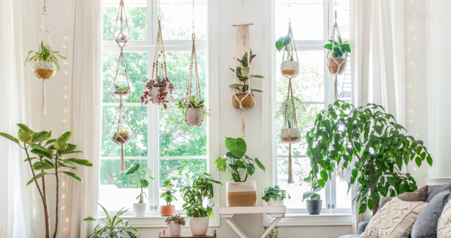 Royaleva Indoor Hanging Planter Pot for Stylish Decor