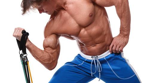 Royaleva Sport Elastics Set for Home Fitness Training