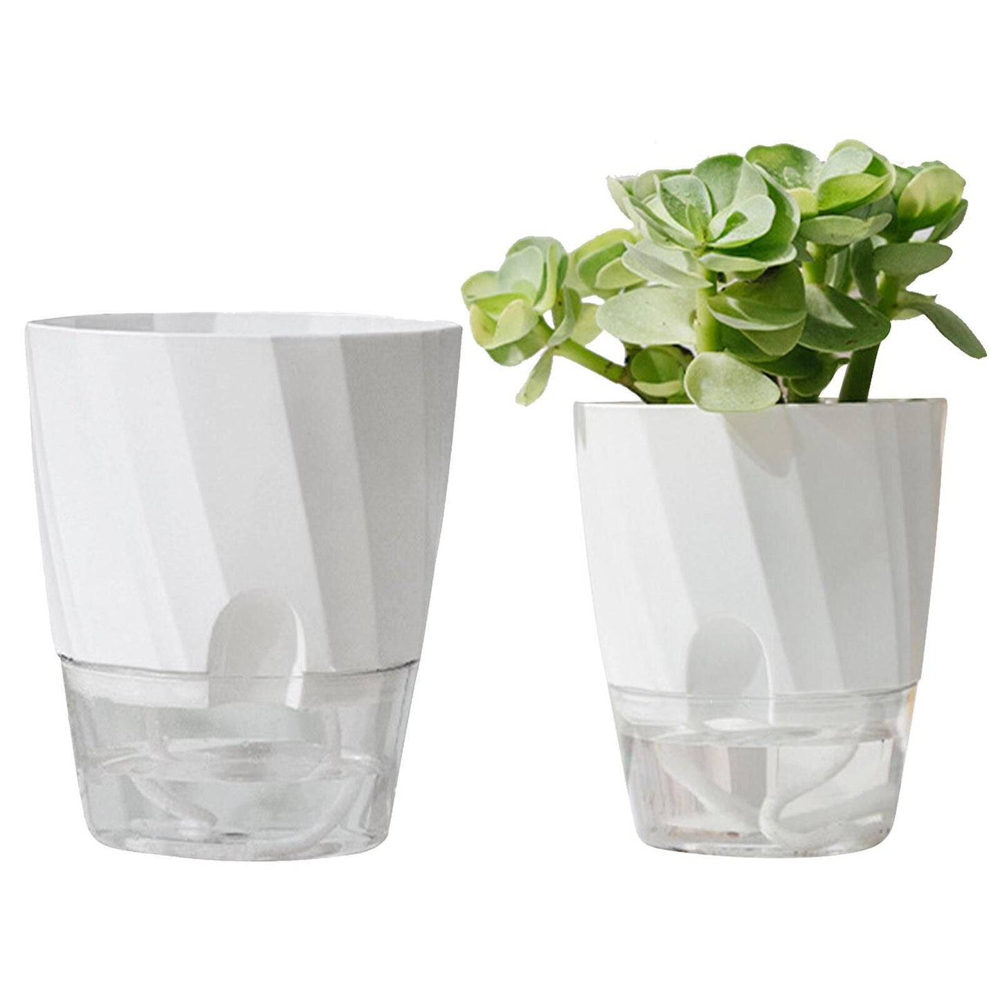 Luxora Self Watering Planter for Easy Plant Care