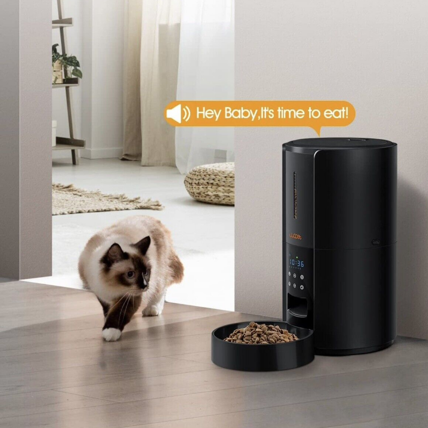 RoyaleGlow Exclusive Large Automatic Dog Cat Time Pet Food Feeder Dispenser