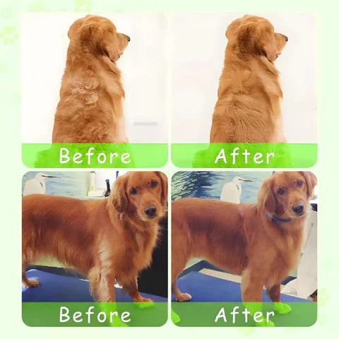Luxora Steamy Dog Brush - No More Fur Everywhere