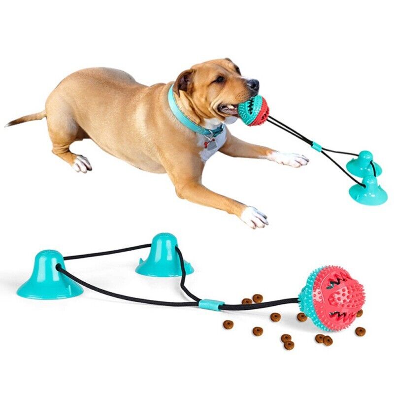 Royaleva Dog Suction Toy for Interactive Playtime Fun
