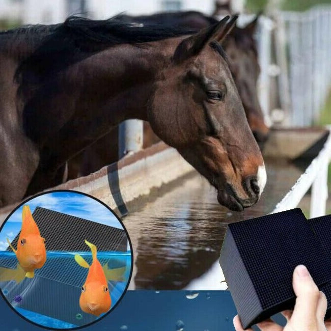 Water Purifier Bio-Cube with ultra-absorption activated carbon for livestock and pet water tanks. Removes algae, bacteria, and odors for clean, safe drinking water. Eco-friendly, easy-to-use, and maintenance-free.