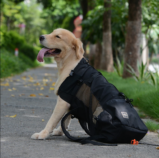 Luxora Dog Backpack Sack Carrier for Hiking and Travel