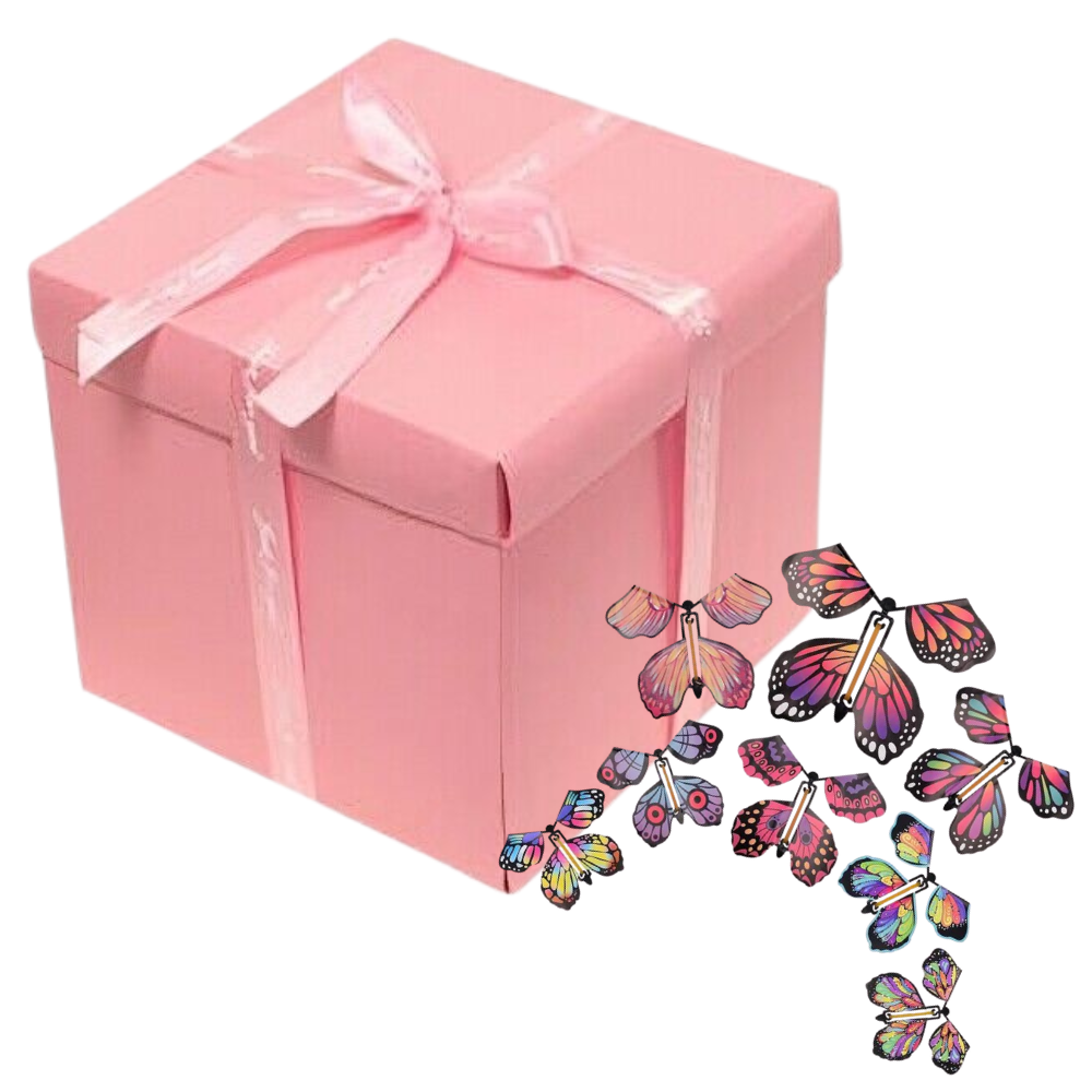 Royaleva DIY Valentine's Day Magic Butterfly Photo Surprise Gift