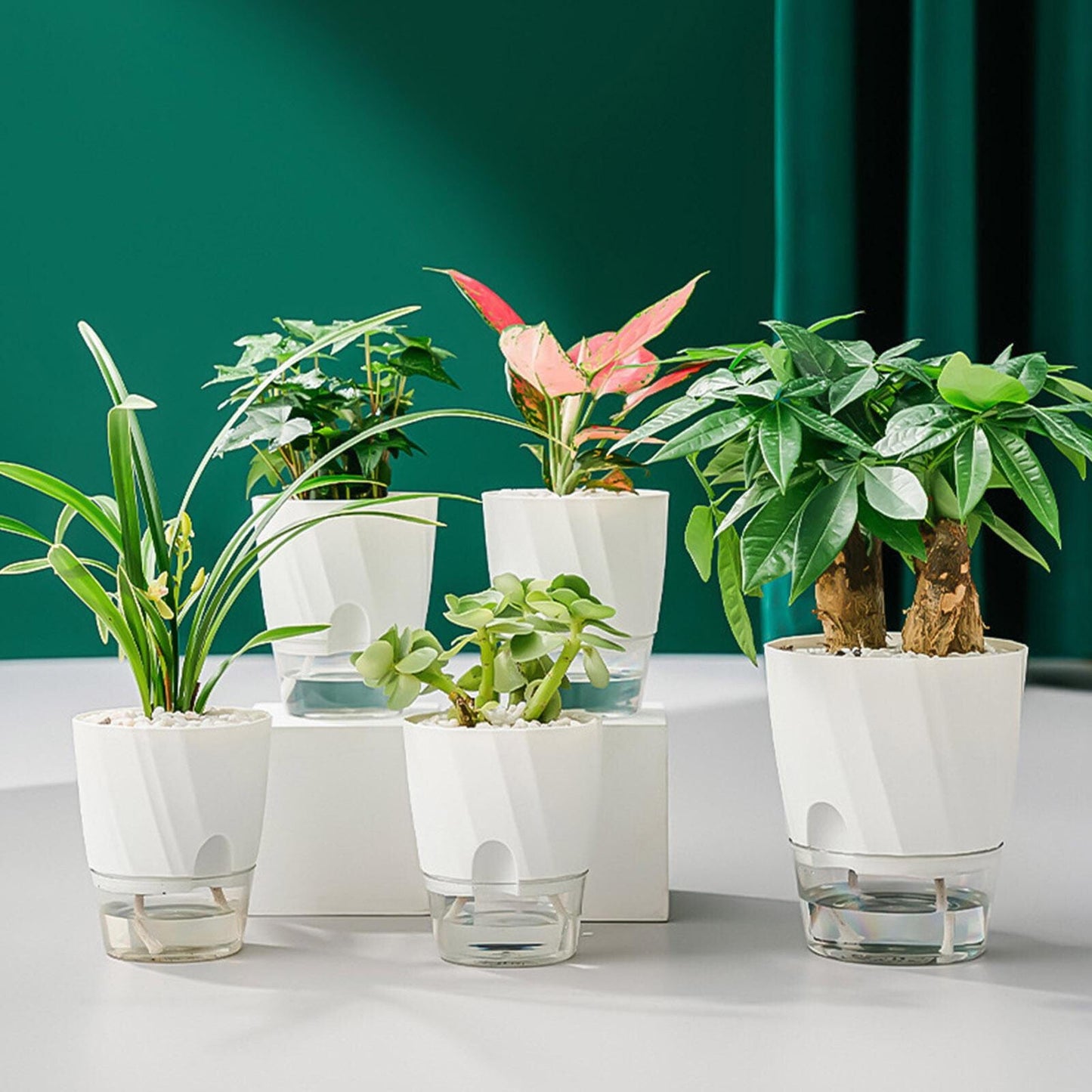 Luxora Self Watering Planter for Easy Plant Care