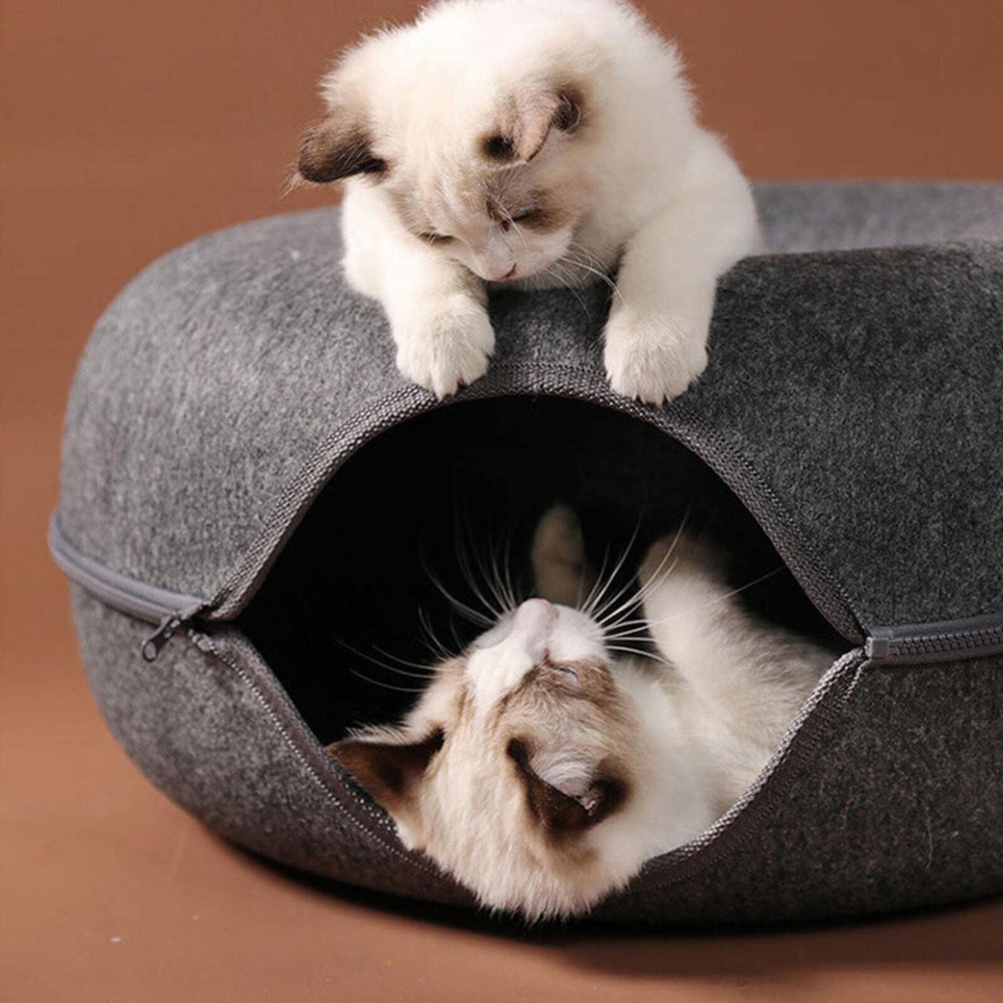 Luxora Tunnel Interactive Cat Bed for Fun and Playful Cats