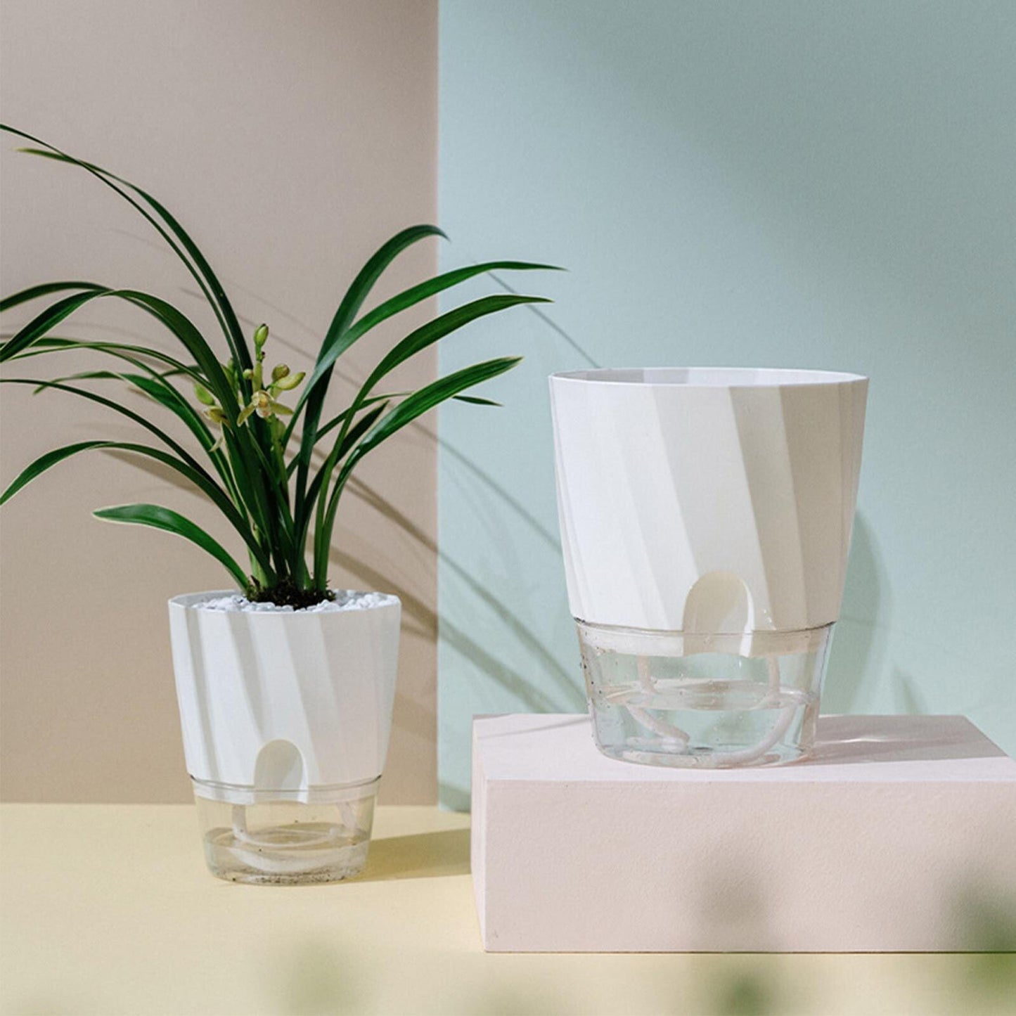 Luxora Self Watering Planter for Easy Plant Care