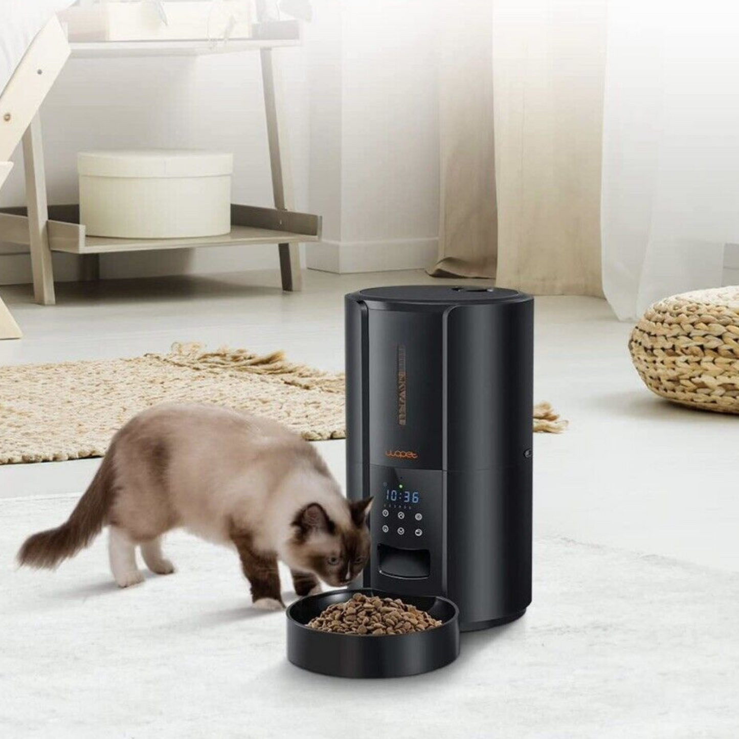 RoyaleGlow Exclusive Large Automatic Dog Cat Time Pet Food Feeder Dispenser