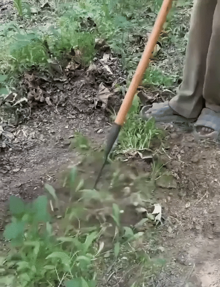 Luxora Versatile Handle Rakes For Lawn with Custom Heads