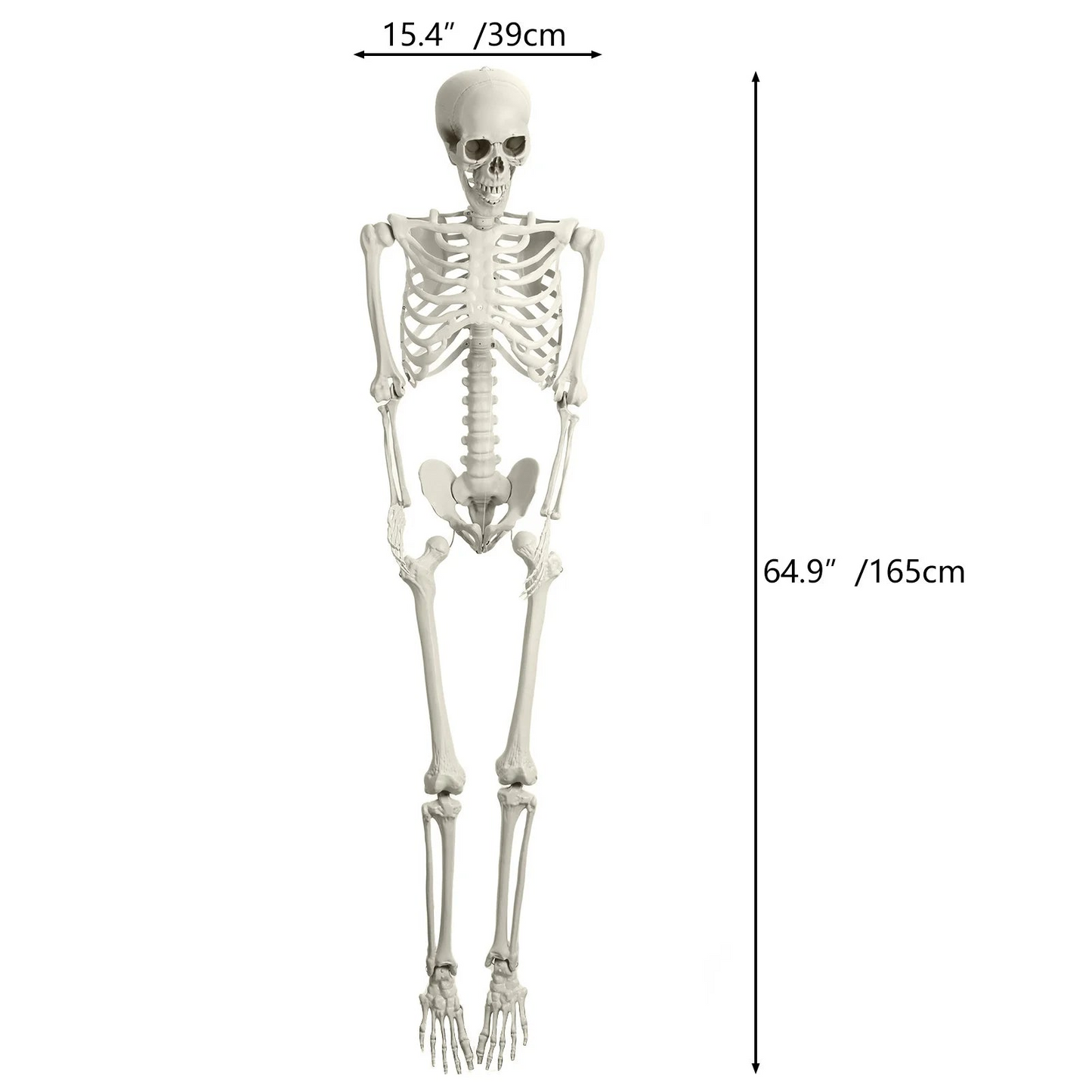 LuxRoyale Life-Size Skeleton Decoration with Glowing Eyes Movable Joints