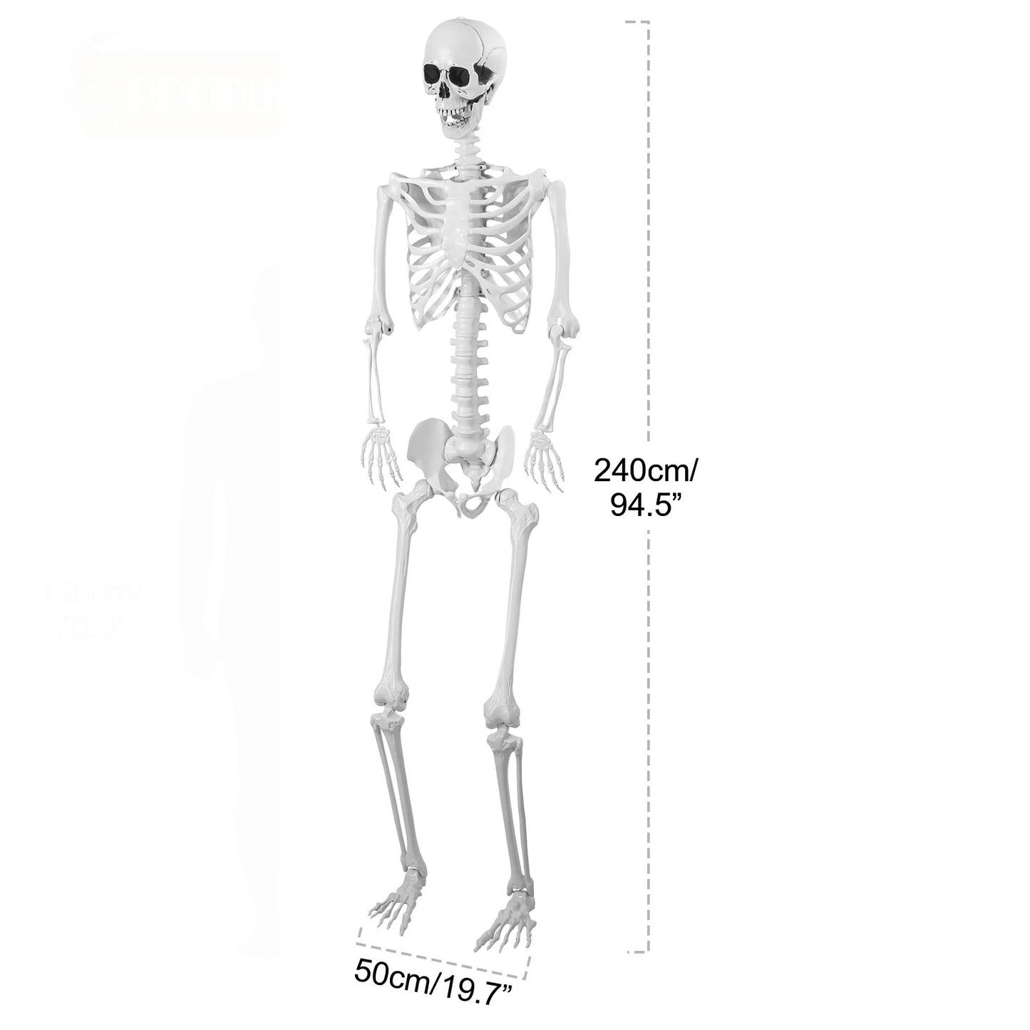 LuxRoyale Life-Size Skeleton Decoration with Glowing Eyes Movable Joints