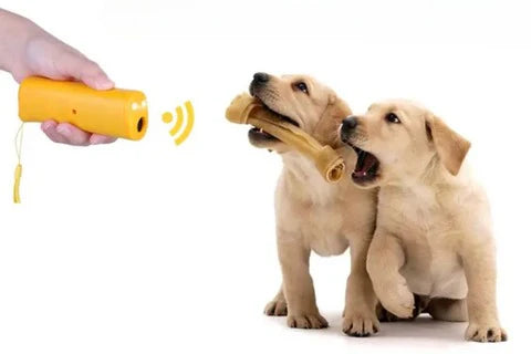 RoyaleGlow Anti-Bark Box For Dogs - Effective Training Aid