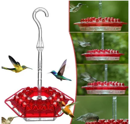 RoyaleGlow Ant Proof Hummingbird Feeder Outdoor Hanging Perch