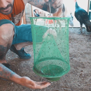 Royaleva Eco-Friendly Stable Fly Trap for Outdoor Use
