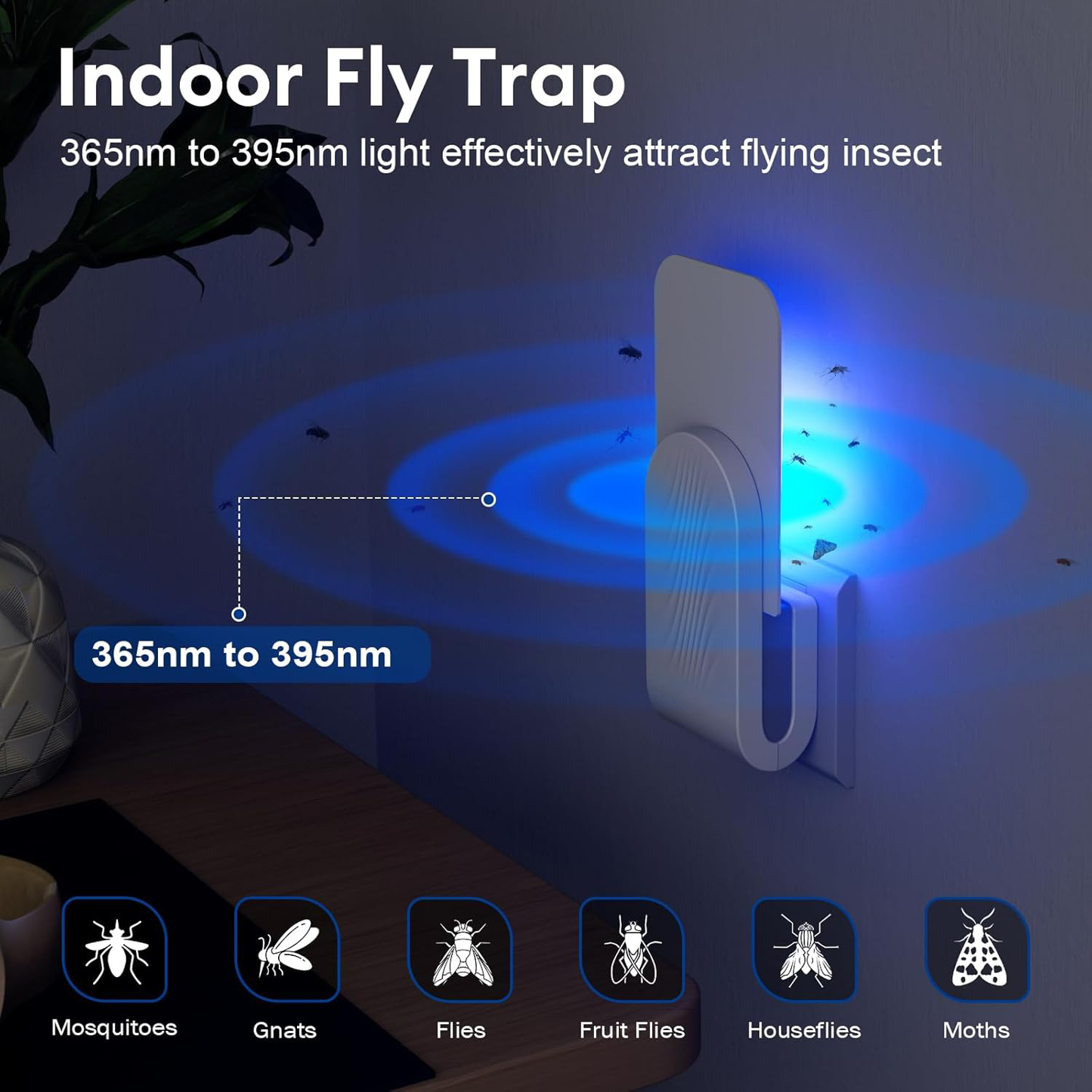 Royaleva Indoor Fly Trap with Adhesive Cards for Home Use