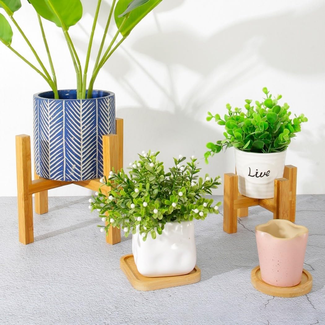 Luxora Wooden Plant Pot Trays for Stylish Plant Displays