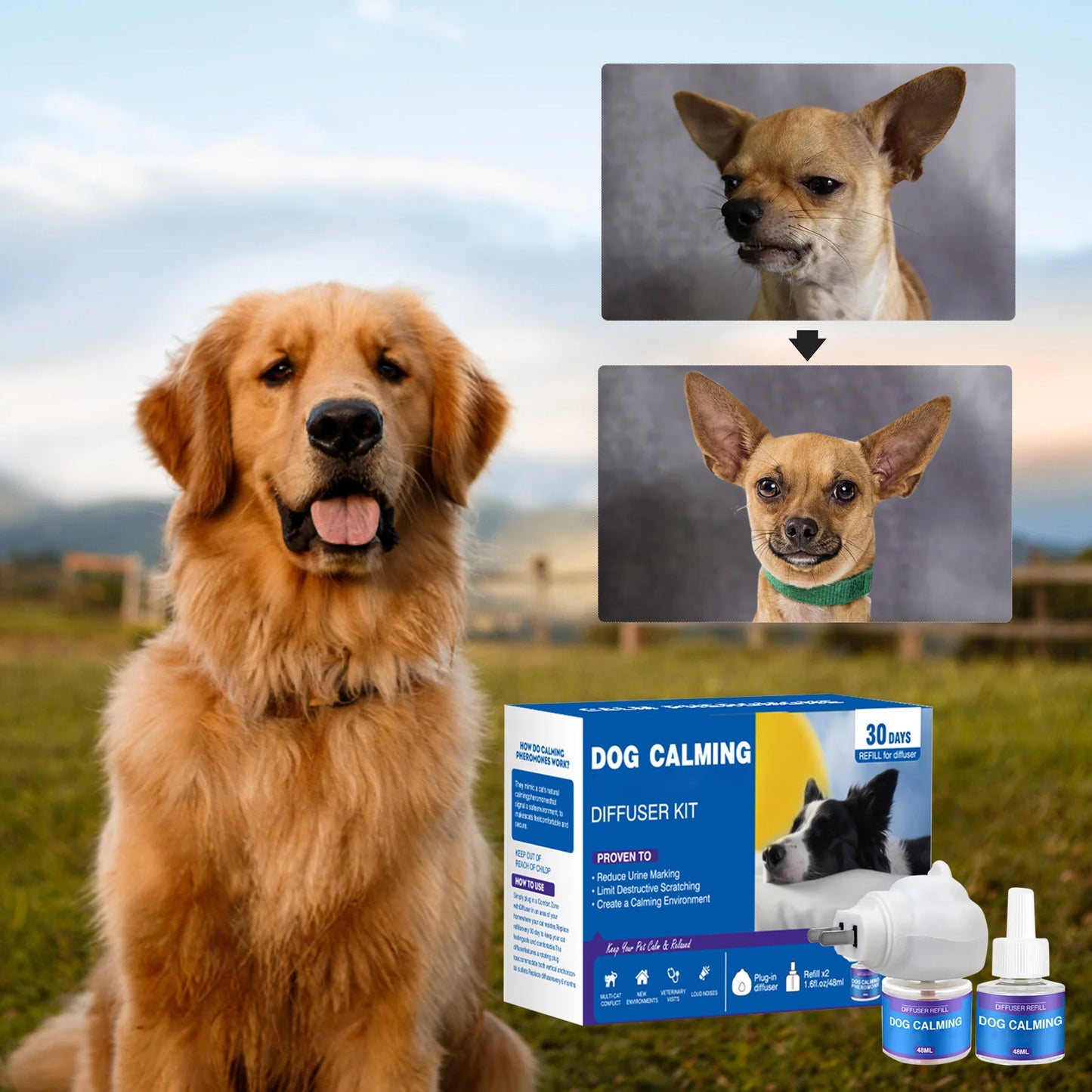 Royaleva Pet Calming Spray Diffuser for Happy Pets