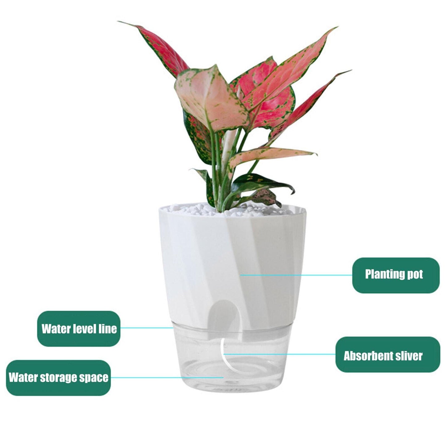Luxora Self Watering Planter for Easy Plant Care