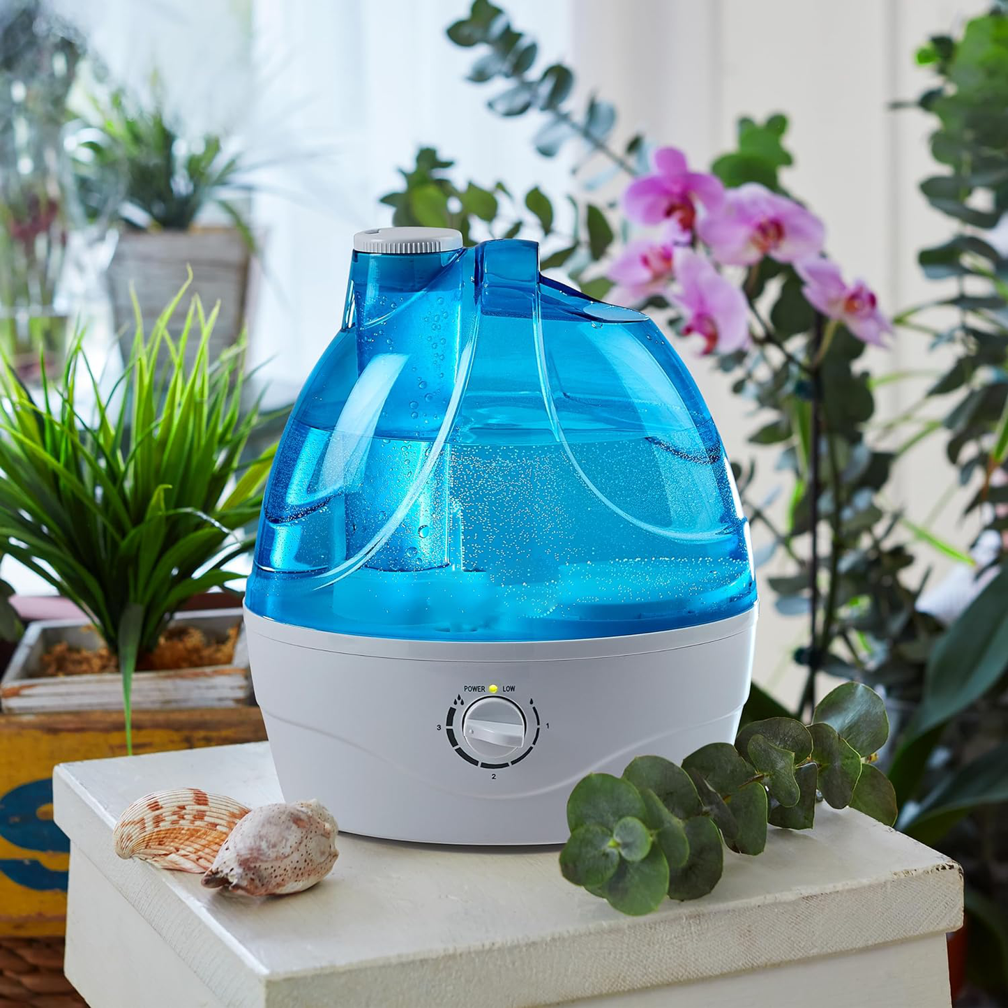 RoyaleGlow Cool Mist Humidifier with 2.2L Tank Capacity
