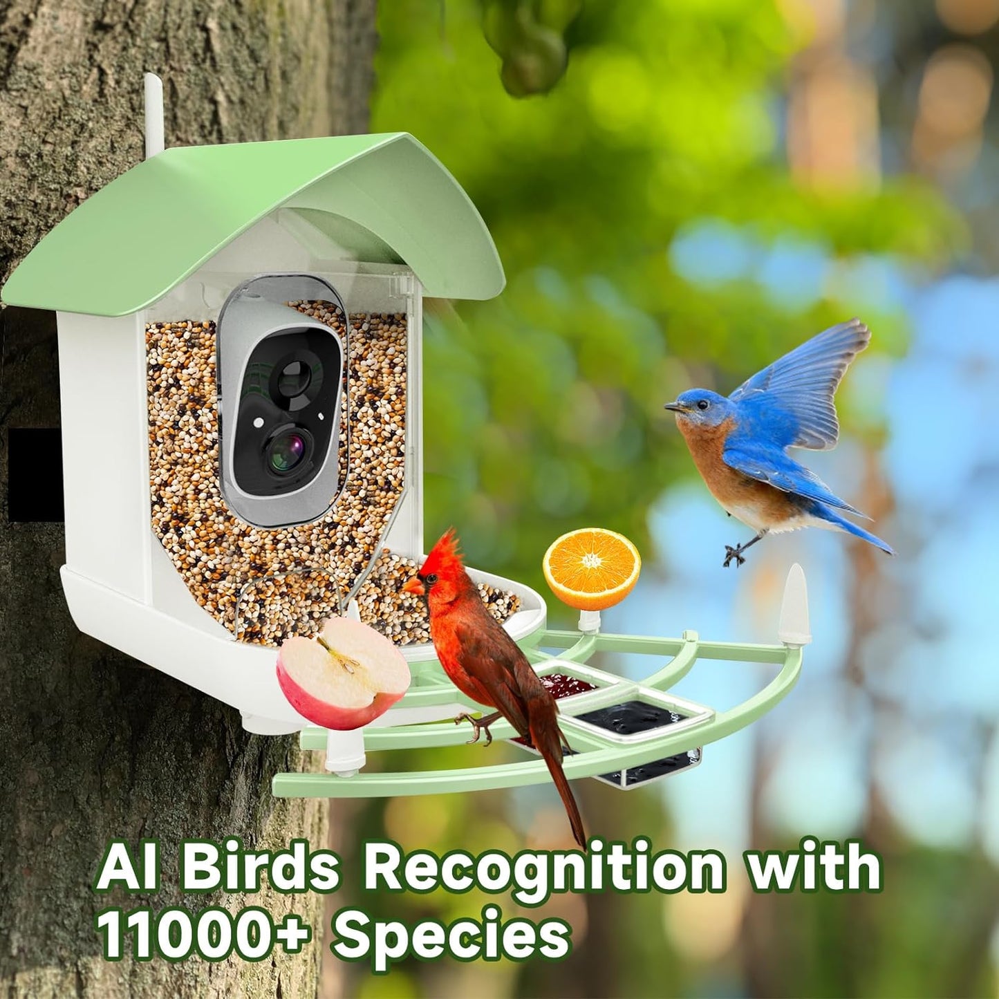 RoyaleGlow Smart Bird Feeder Camera with Night Vision