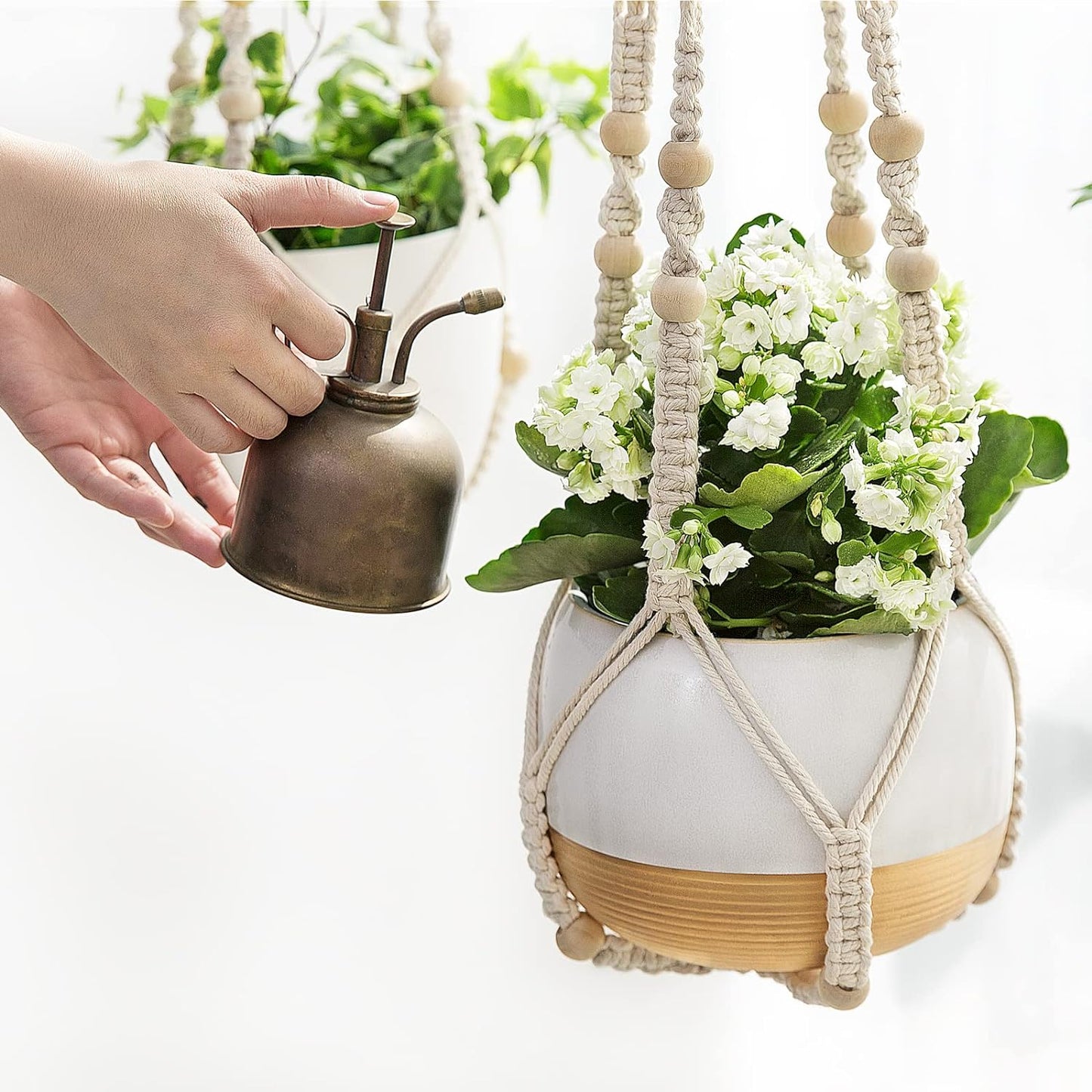 Royaleva Indoor Hanging Planter Pot for Stylish Decor