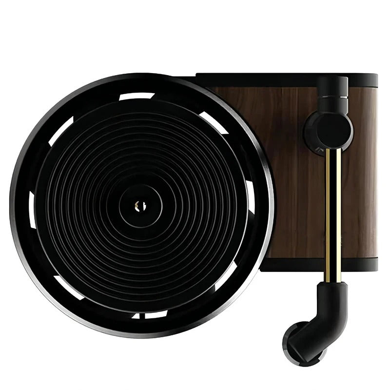 RoyaleGlow Retro Vinyl Car Air Freshener Diffuser