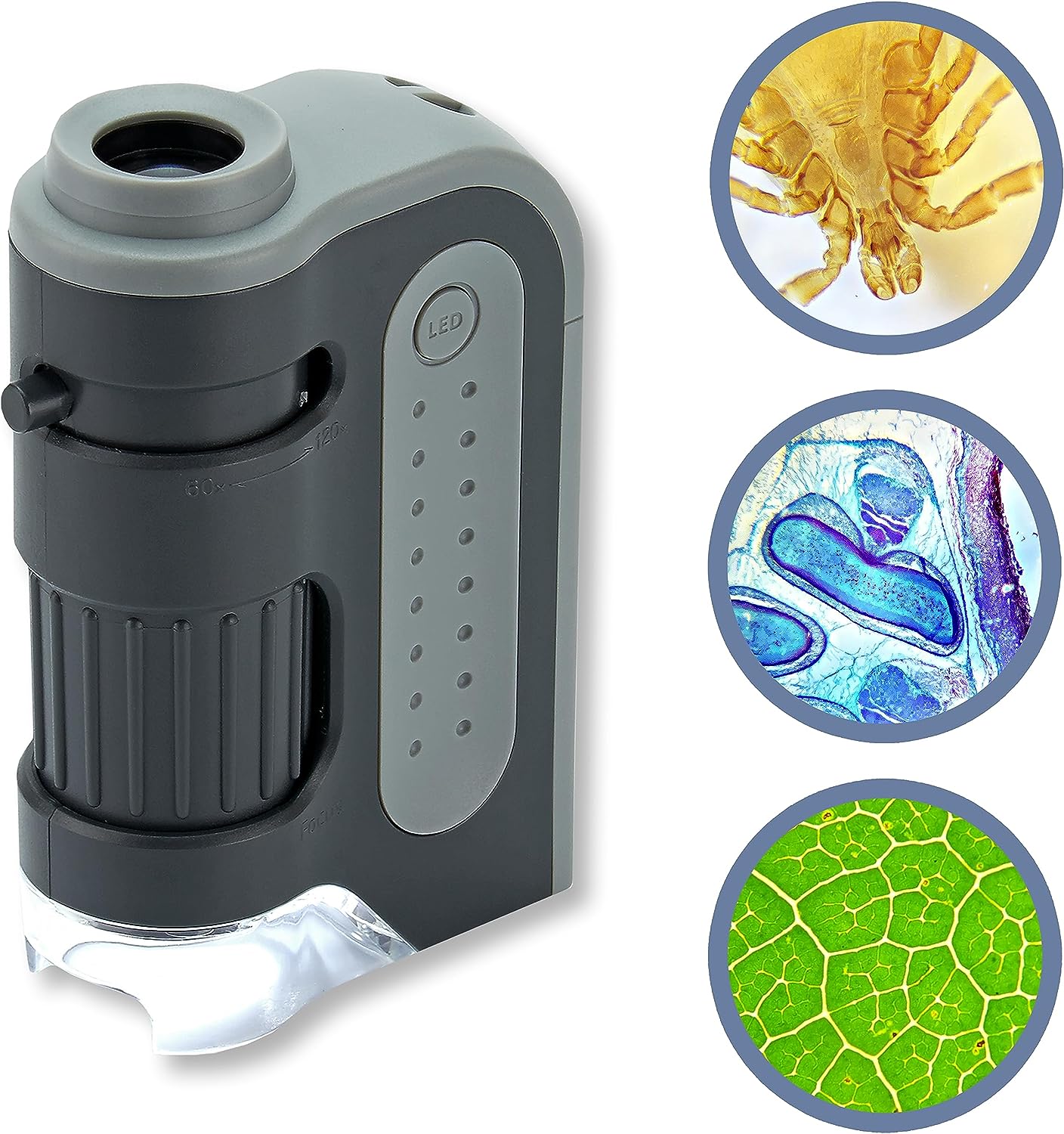 Royaleva Portable Handheld Pocket Microscope 60x-120x Magnification