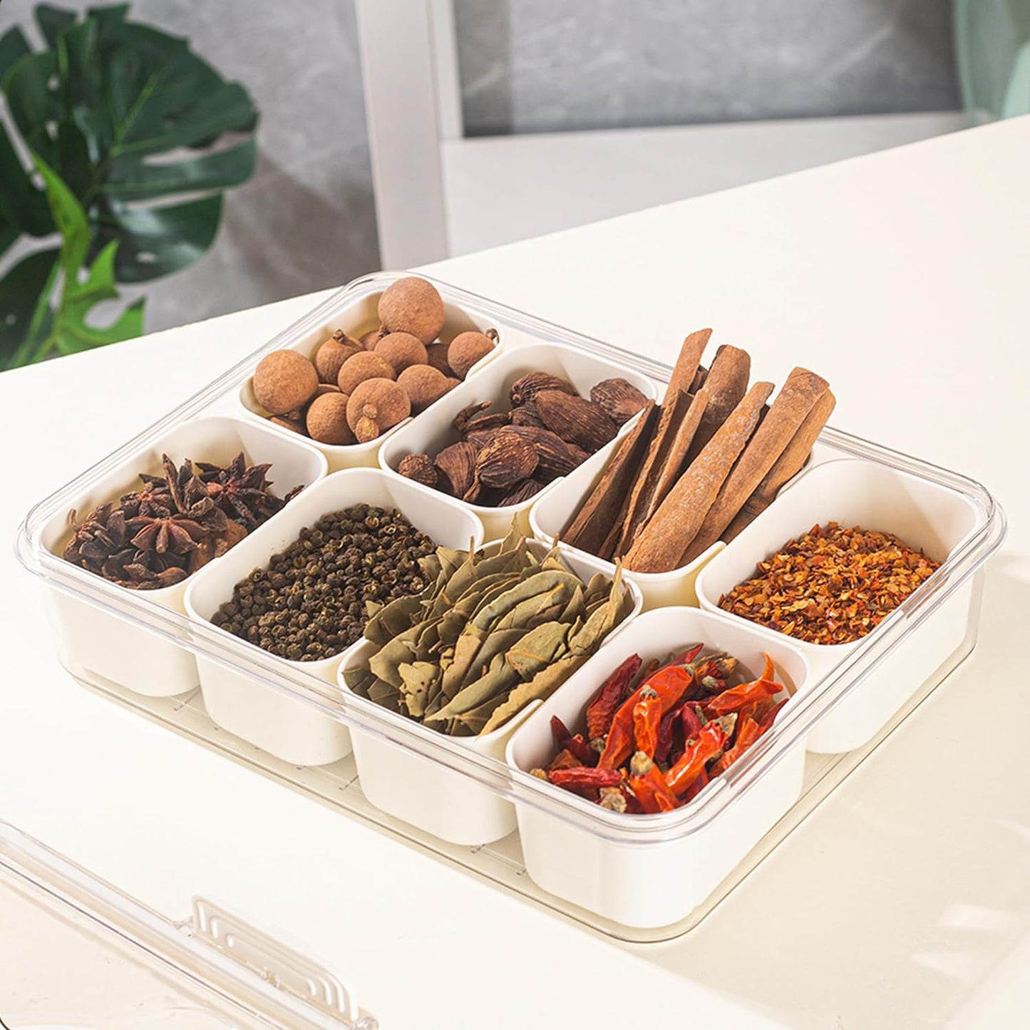 Royaleva 8 Compartments Divided Serving Tray With Handle
