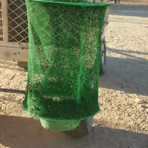 Royaleva Fly Traps Reusable Ranch Fly Trap for Animals