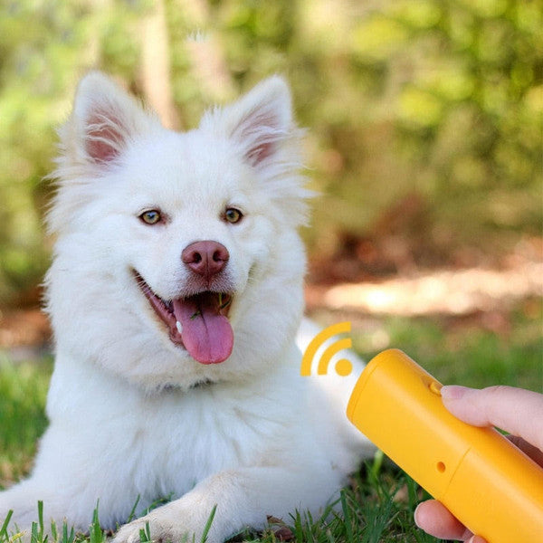 RoyaleGlow Anti-Bark Box For Dogs - Effective Training Aid