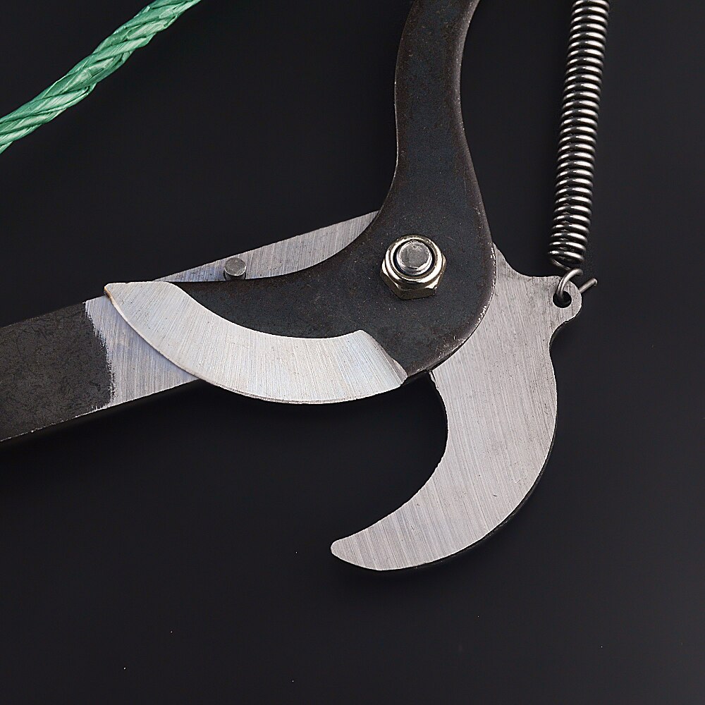 Royaleva High-Altitude Extension Pruning Shears for Easy Trimming
