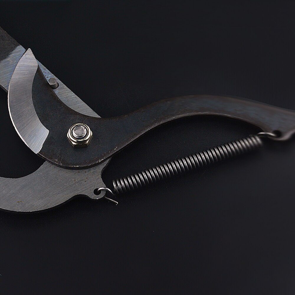 Royaleva High-Altitude Extension Pruning Shears for Easy Trimming