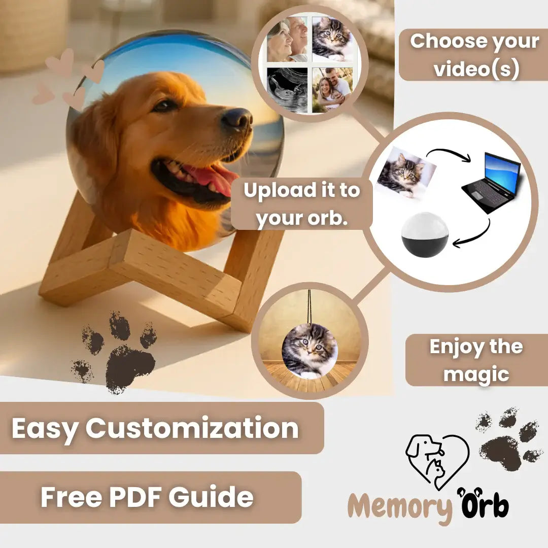 Royallure Memory Orb – Custom Video Sphere with 360° Sound & USB Upload