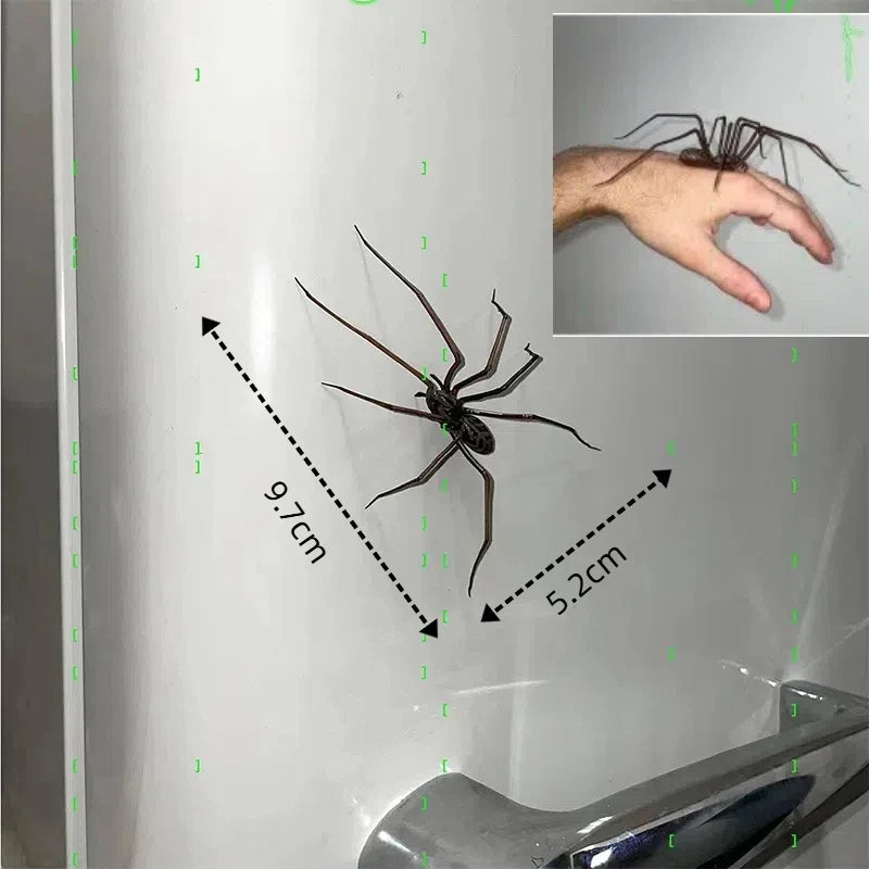 Creative Spider Fridge Magnets Decor For Refrigerators Fun Novelty Magnetic Fridge Accessories Spider magnet home decor items 0