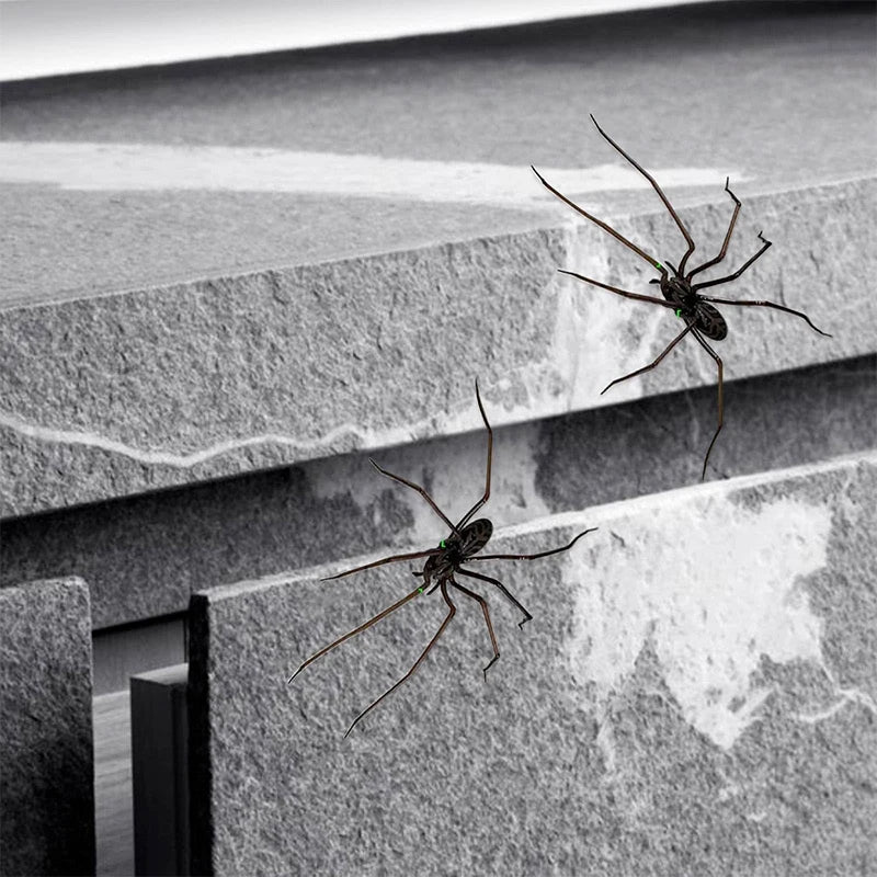 Creative Spider Fridge Magnets Decor For Refrigerators Fun Novelty Magnetic Fridge Accessories Spider magnet home decor items 2