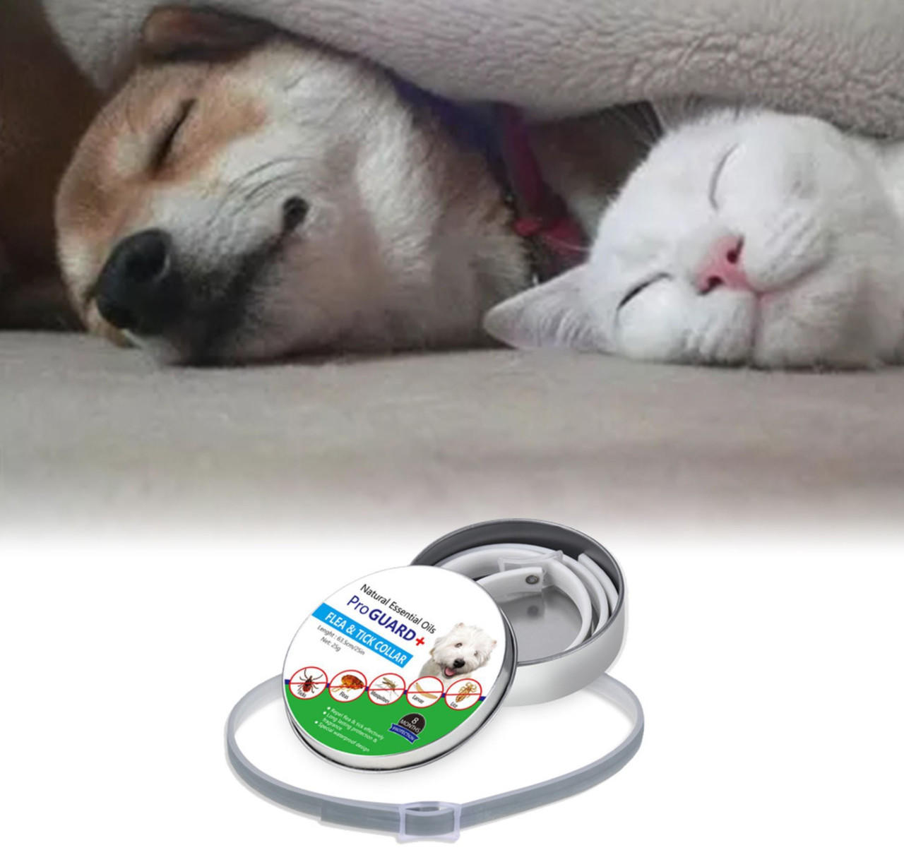 Royaleva Dog Pest Collar for Flea and Tick Protection