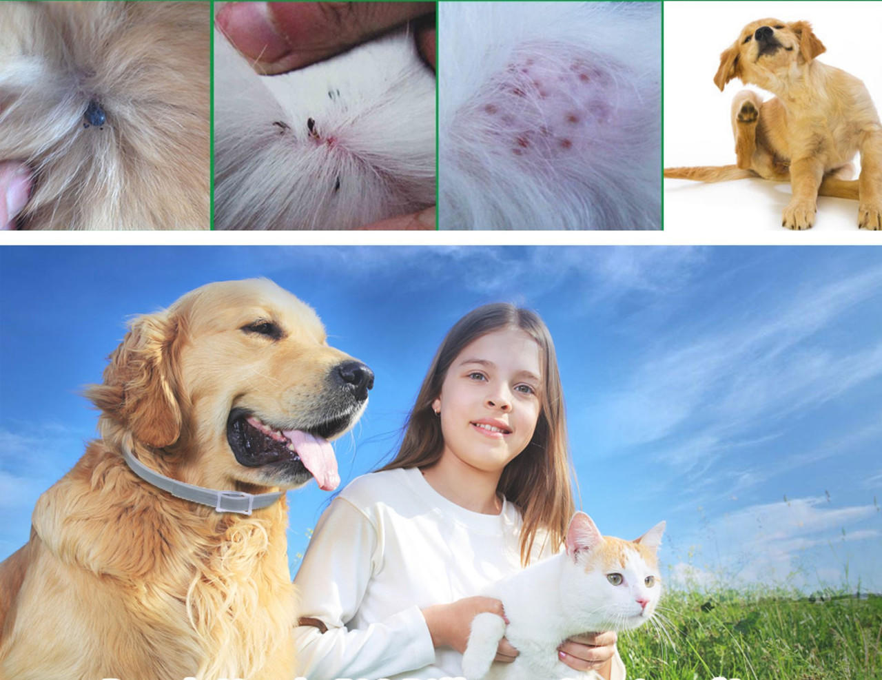 Royaleva Dog Pest Collar for Flea and Tick Protection