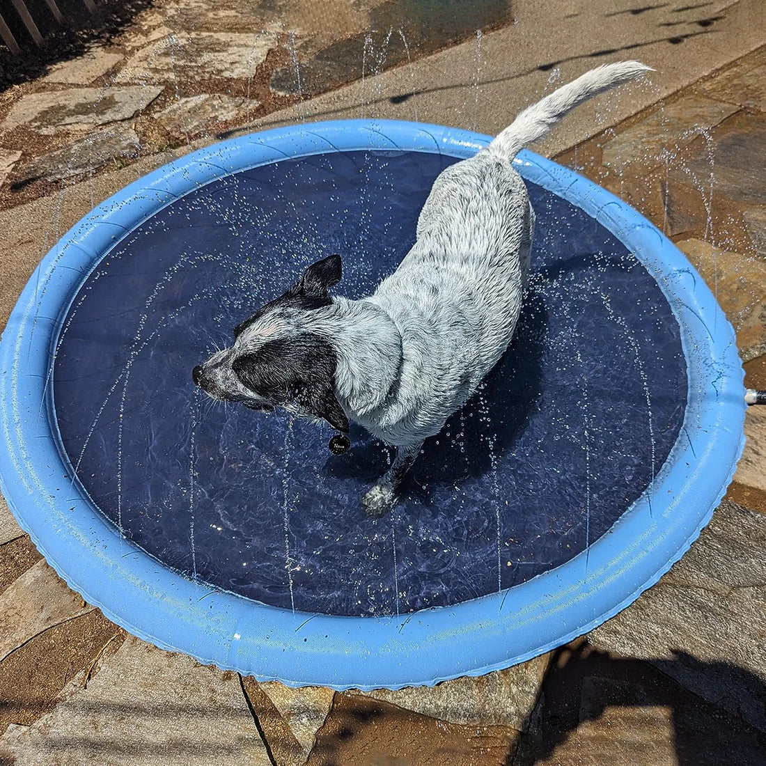 Pawellure Splash Pad for Dogs & Kids – Anti-Slip Summer Sprinkler Mat for Outdoor Fun